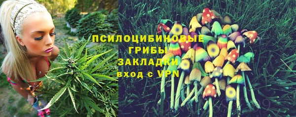 PSILOCYBIN Баксан